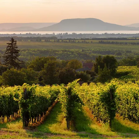 Holiday home In 45324