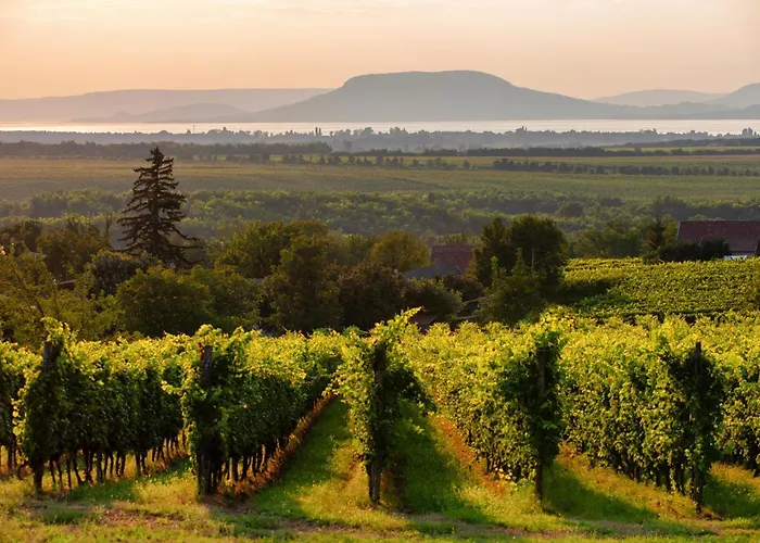 Holiday home In 45324